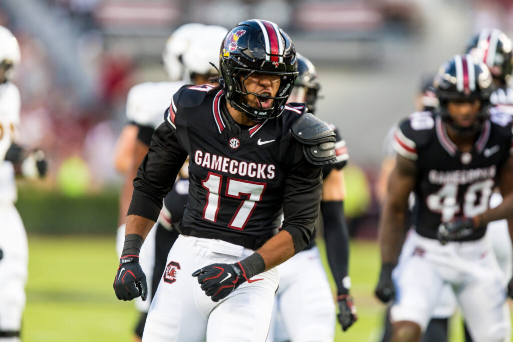 NCAA Football: Towson at South Carolina