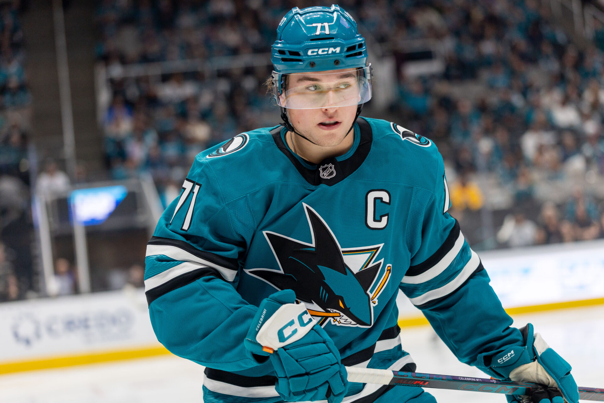 Sharks' Celebrini Out With Lower-Body Injury, Stutzle Powers Senators Past Bruins