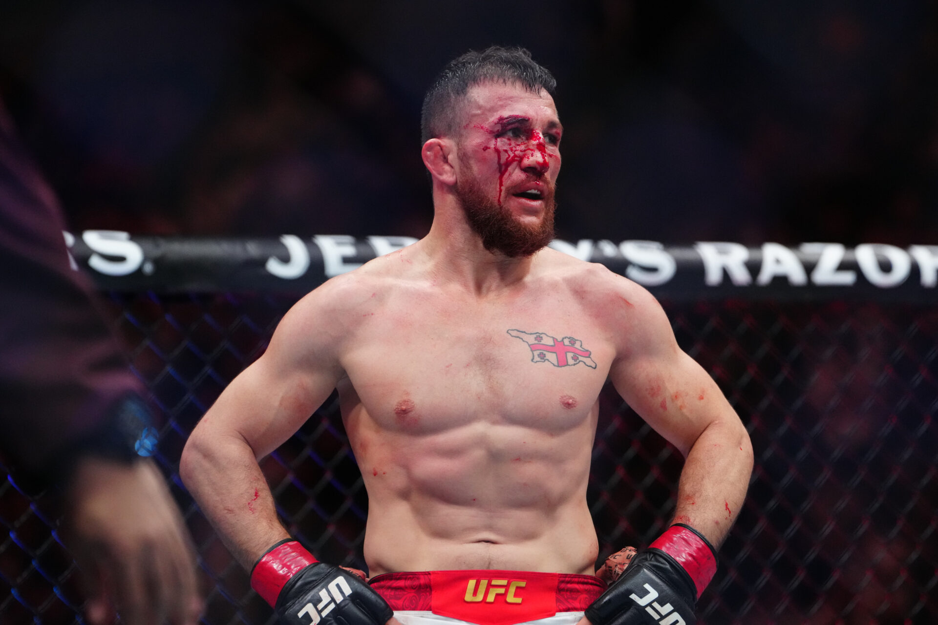 Alexander Volkanovski vs. rising contender: more fights to make after ...